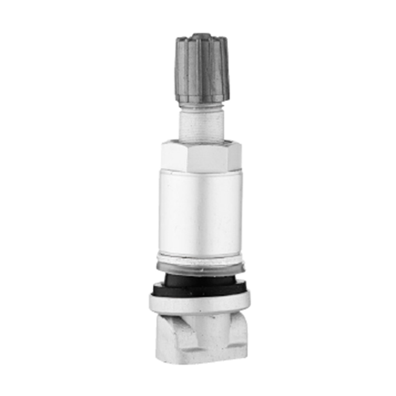 صمامات TPMS-TPMS-01
