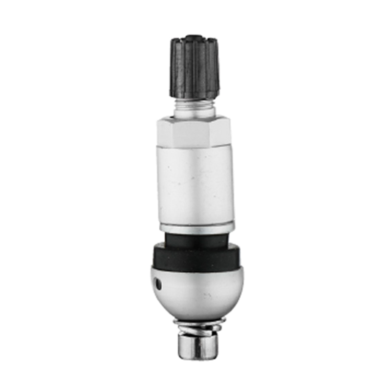 صمامات TPMS-TPMS-02