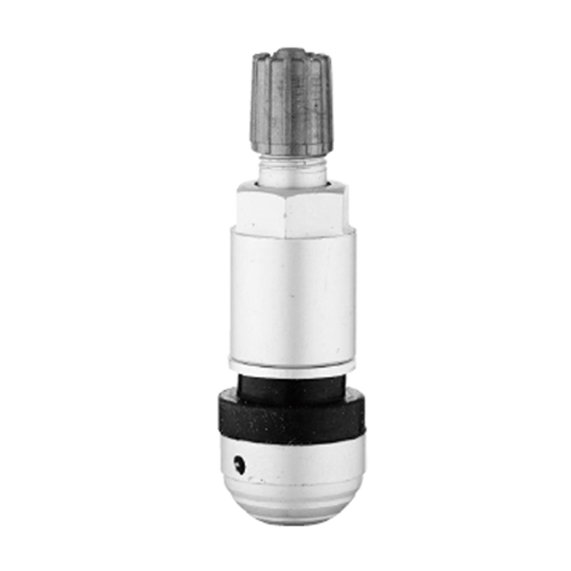 صمامات TPMS-TPMS-09