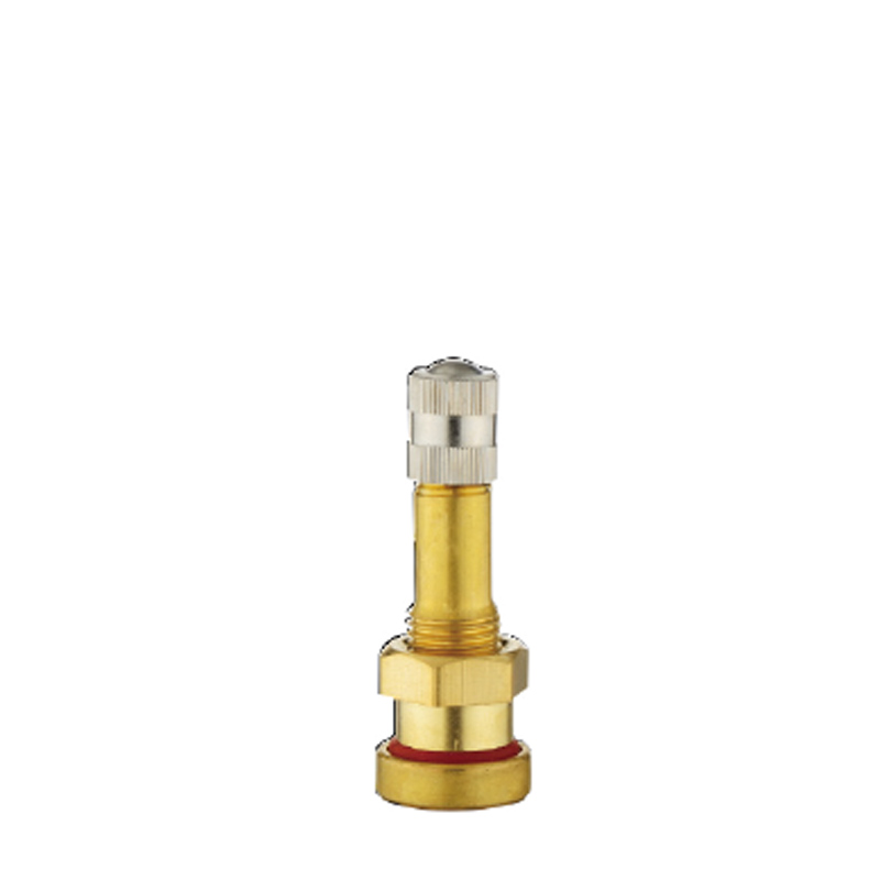 النمط الأوروبي O-Ring Seal Clamp-in Brass Valves-V3.20.1